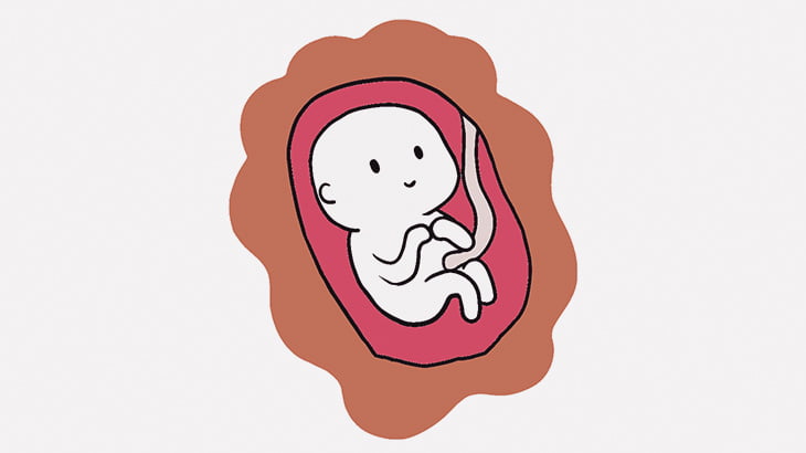 羊膜に包まれたまま産まれてくる赤ちゃん「エンコールバース」（動画）