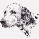 【閲覧注意】犬をハンマーで殴る → ノコギリで斬首･･･（動画）