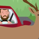 【微閲覧注意】鹿と衝突した車、車内ぐちゃぐちゃ･･･（動画）