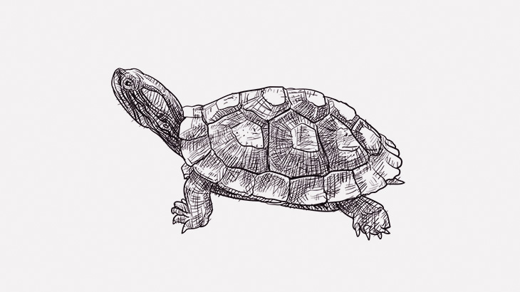 【閲覧注意】自分の亀頭を切断してしまう男（動画）