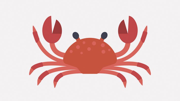 オーストラリアの島、カニだらけ･･･（動画）