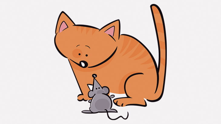 猫を恐れなくなったネズミが撮影される（動画）