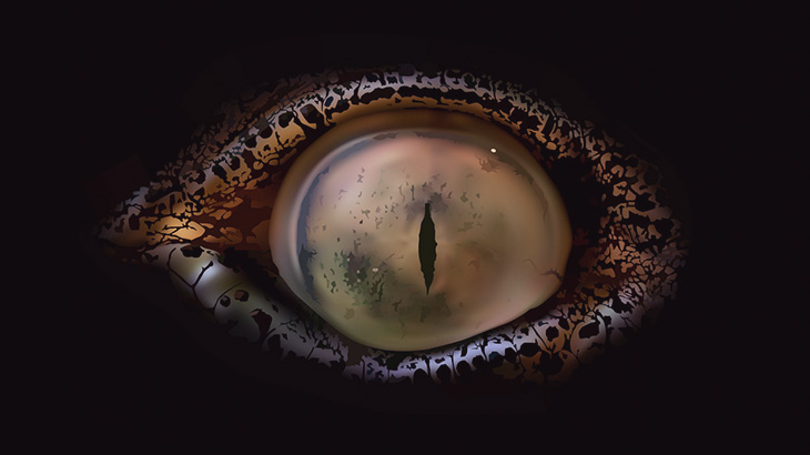 男が川の水面を叩く → 「あの生物」が突進してくる（動画）