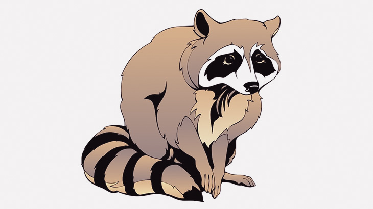 走る車のボンネットに乗ってしまったアライグマ、アイキャンフライしてしまう（動画）