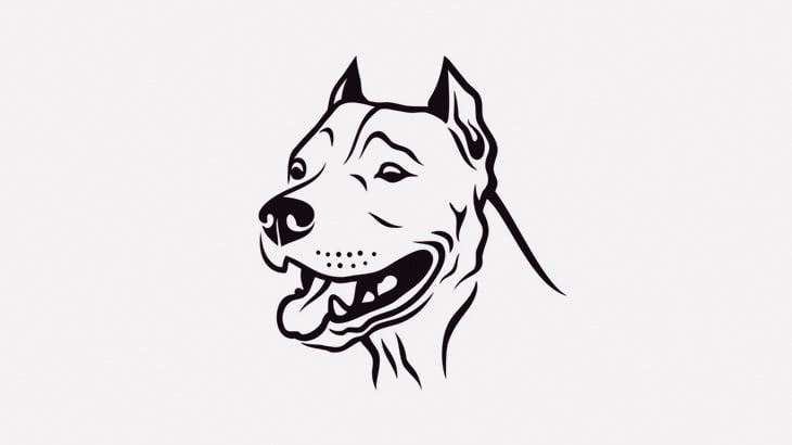 【閲覧注意】3匹のピットブル、1匹の犬の顔をグッチャグチャにしてしまう･･･（動画）