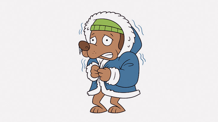 寒波に襲われた野生動物たち、一瞬でこうなる･･･（動画）