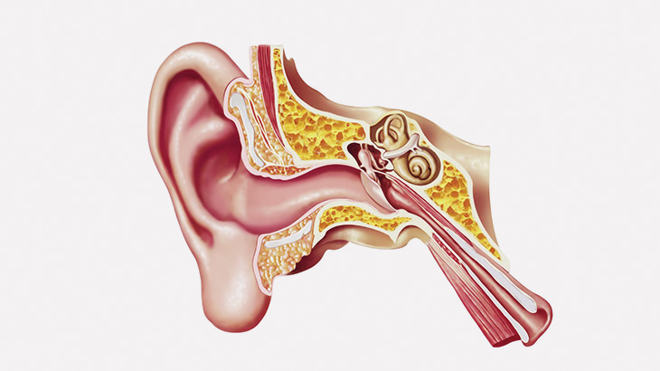 何か耳の中ごそごそするな･･･ → とんでもない生き物が･･･（動画）