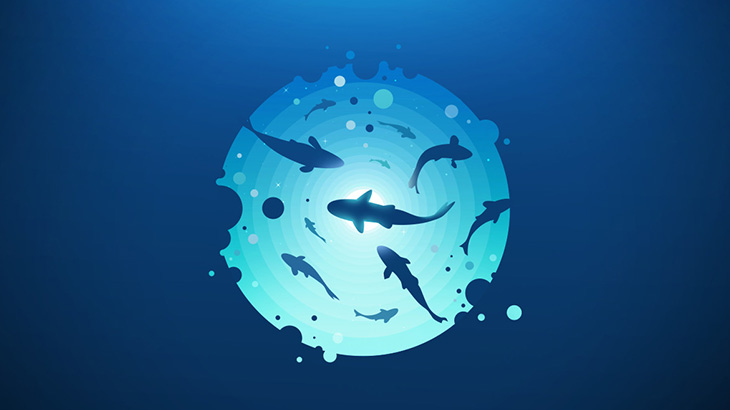 深海1000Mでめったに見ることができない巨大生物が撮影される（動画）