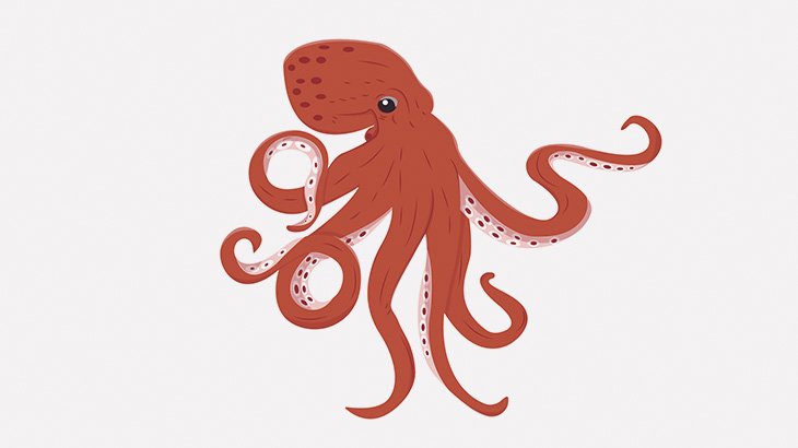 釣り上げられたタコ、船の小さな穴から脱出（動画）