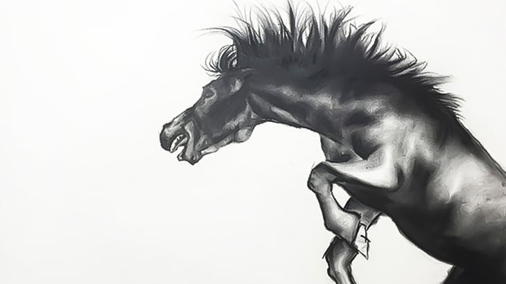 荒ぶる馬、羊を殺してしまう（動画）