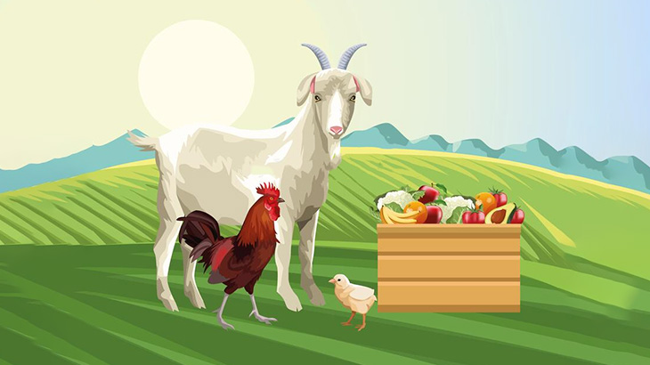 【閲覧注意】ヤギ「ヒヨコうめーｗｗｗｗ」（動画）