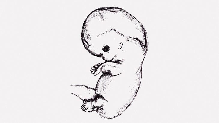 【閲覧注意】中絶された胎児、まだ動いてる･･･（動画）