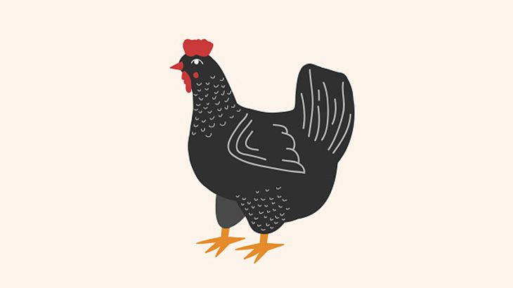 獣姦大好きマン、ニワトリとセックスしてしまう（動画）