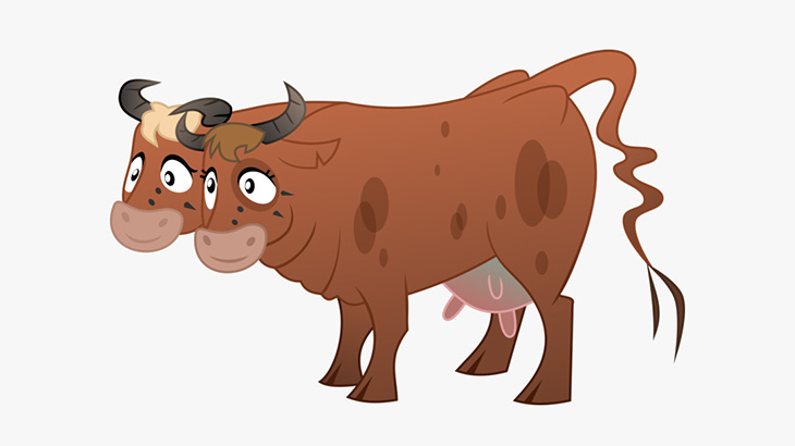 2つの頭を持つウシが産まれてしまう（動画）