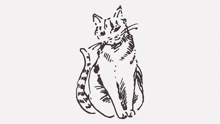 【閲覧注意】イカれた男、猫を溺れさせて遊んでしまう（動画）