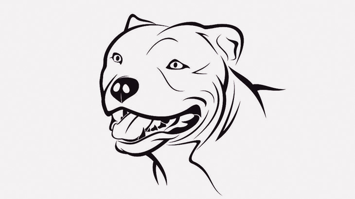 女が散歩させてたピットブルが他の犬を噛み殺す → そのまま去ろうとする（動画）