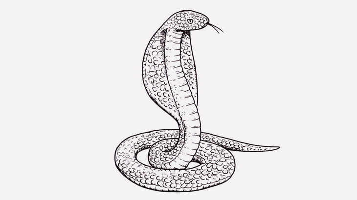 キングコブラさん、小さなヘビを食らってしまう（動画）