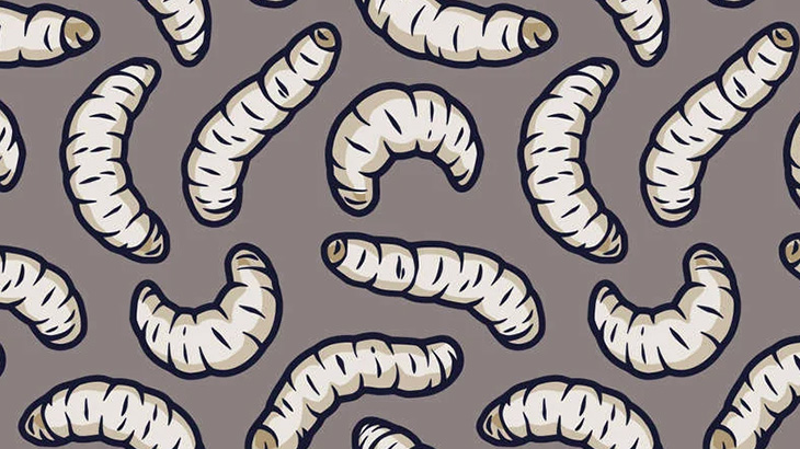 【閲覧注意】この女性の歯茎、ウジ虫だらけ･･･（動画）