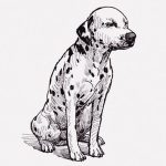 【閲覧注意】イカれた男、浴槽で生きてる犬の皮膚を剥いでしまう･･･（動画）