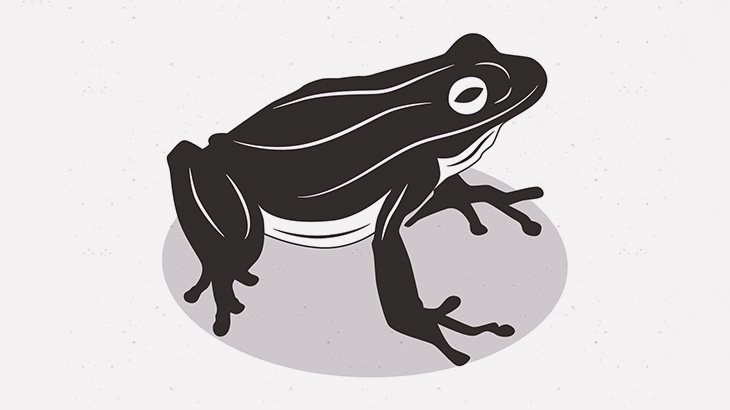 【閲覧注意】口の中に目があるこのカエル、マジ･･･？（画像）