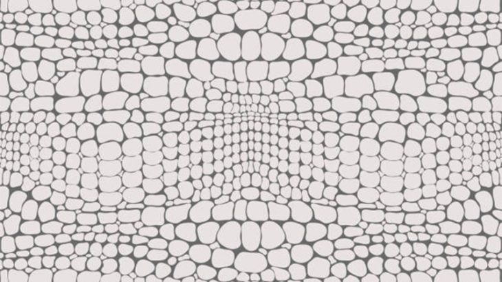 【閲覧注意】蛇革の靴やバッグはこうして作られる（動画）