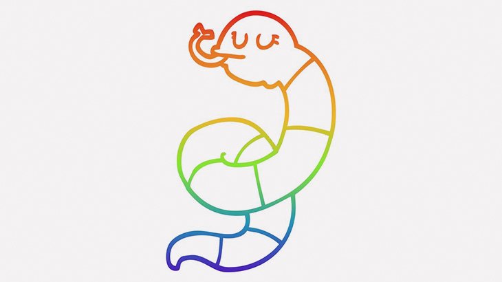 体が虹色に輝く「ベーレンニシキヘビ」（動画）