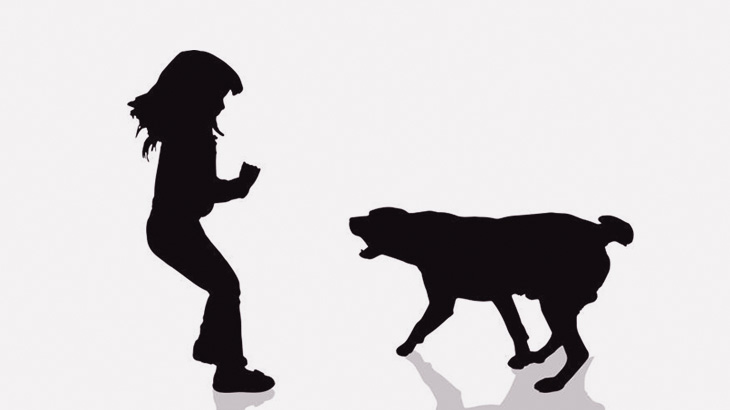 野良犬「人間の子供おるやん！ぶっ殺す！」（動画）