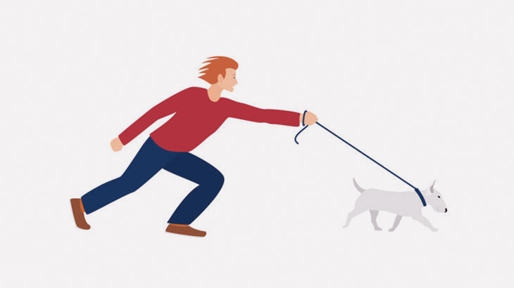 犬がエレベーターに入る → 首吊り状態に･･･（動画）