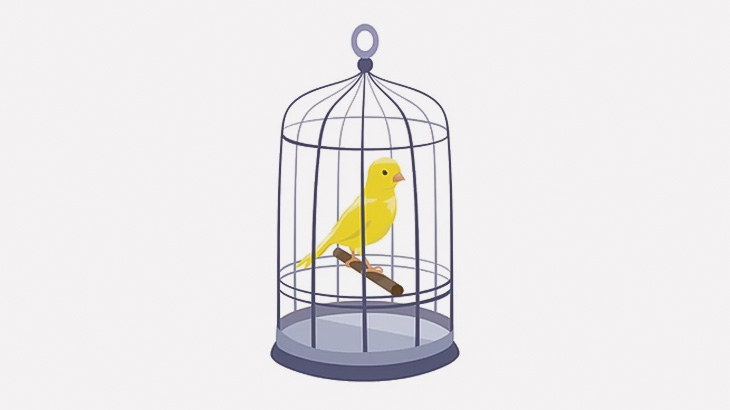 【微閲覧注意】なぜか大量の鳥を殺す女（動画）