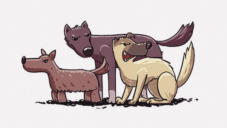 ３匹の野良犬たち「幼い人間の女の子いるやん！」 → 噛みまくる