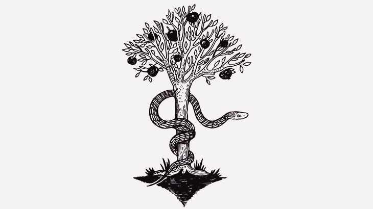 木登りスキルレベルが高すぎるヘビが撮影される（動画）