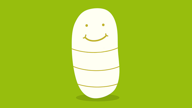 【閲覧注意】この犬の金玉、ウジ虫だらけ･･･（動画）