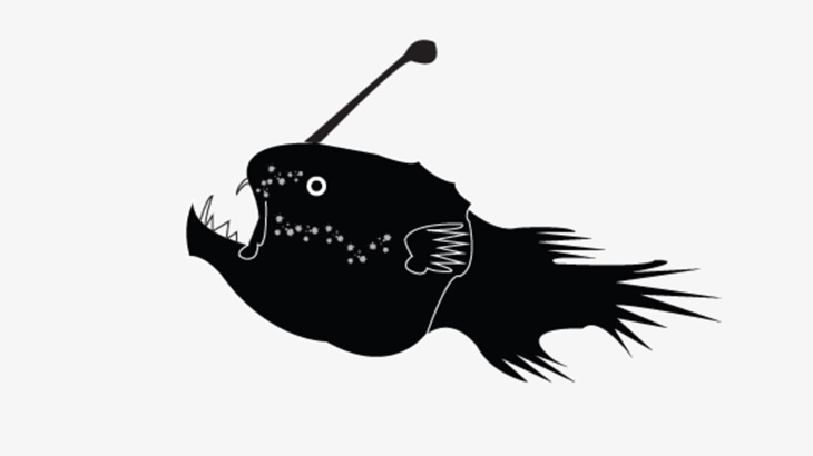 浜辺に真っ黒な生き物が打ち上がってたんだけど･･･（画像）