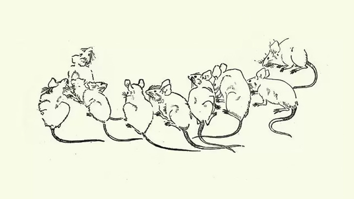 農家さん、とんでもない数のネズミに占拠されてしまう（動画）