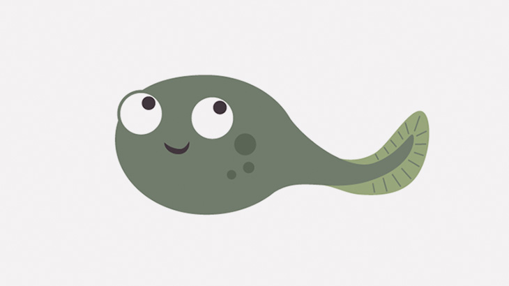 研究者「とんでもなく巨大なオタマジャクシみつけたわ！」（画像）