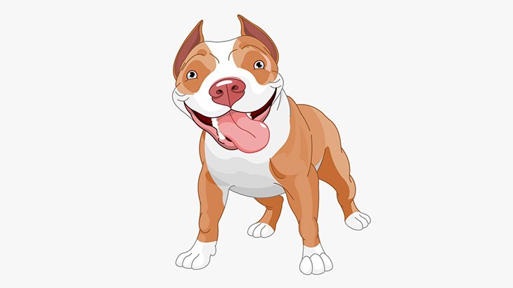 犬の散歩をしていた男性、３匹のピットブルに愛犬を殺され、自身も重傷を負ってしまう