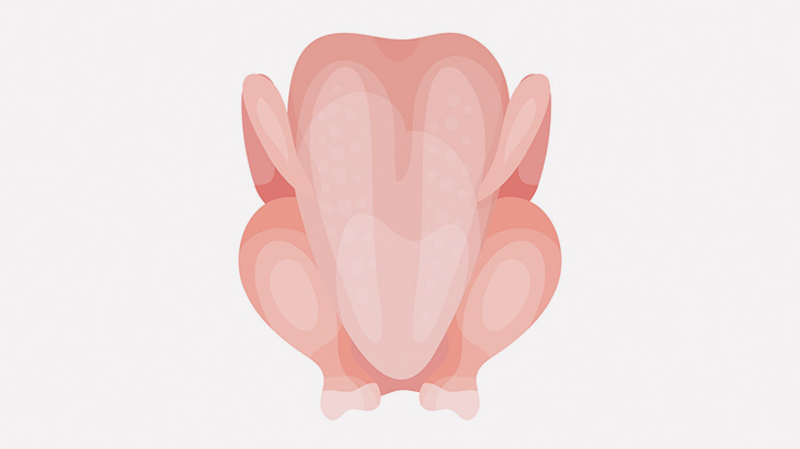 イカレ男「丸焼き用チキンでオナニーしよｗｗｗｗ」（動画）