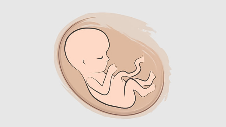 【閲覧注意】男「ダンボールの中から胎児みつけたわｗｗｗｗ」（動画）