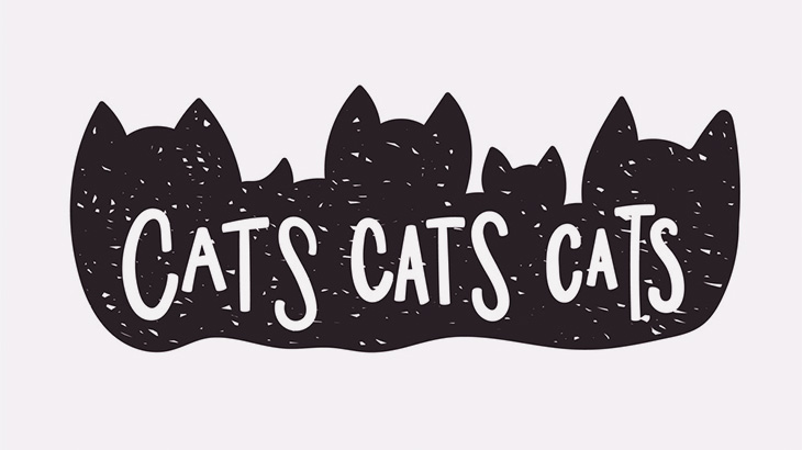 【中国】ロックダウン中の上海、猫狩りが行われてしまう･･･（動画）