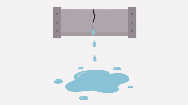 なんか洗面所の天井がもっこりしてきたんだけど･･･（動画）