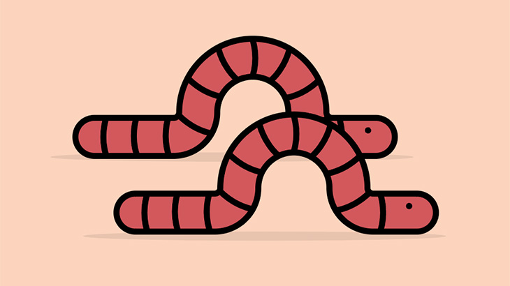 男「マリファナみたいにミミズを焼いて煙吸うわｗｗｗｗ」（動画）