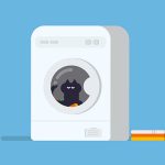 【閲覧注意】クソカップル、猫を洗濯機で回して大爆笑（動画）