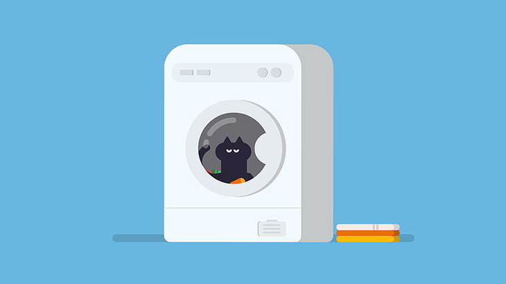 【閲覧注意】クソカップル、猫を洗濯機で回して大爆笑（動画）