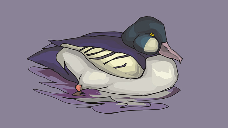 川で鳥が変な格好で動かなくなってる → 確認してみた結果（動画）