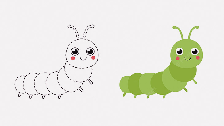 【微閲覧注意】体が透明なイモムシが撮影される（動画）