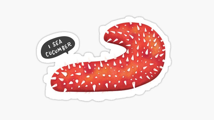 とあるナマコの捕食行動、怖い･･･（動画）