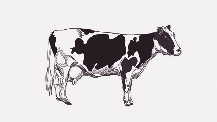 農家「家畜の牛、焼け死んじゃった･･･」（動画）