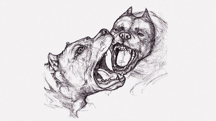 ピットブルさん、車を破壊してしまう（動画）