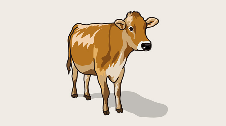 子牛を虐待していた男、警察に捕まってボコられる（動画）