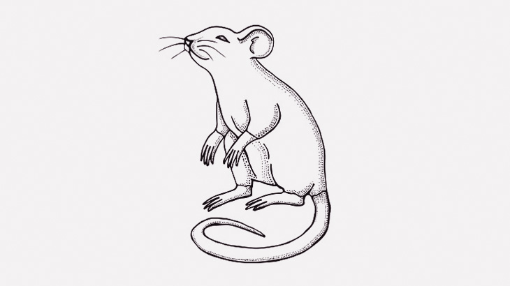 モーターで高速回転したネズミ、バグってしまう（動画）